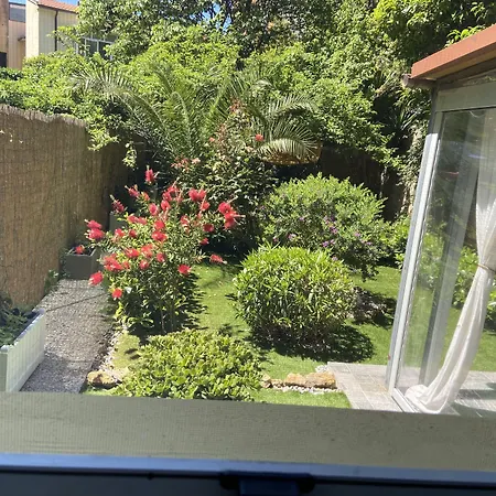 Paradise ليفورنو